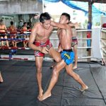The Business of Muay Thai Gym in Thailand