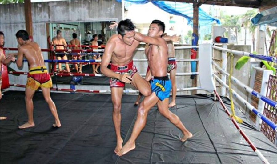The Business of Muay Thai Gym in Thailand