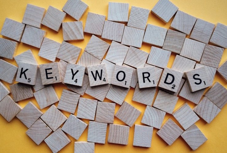 Long Tail Or Short Tail Keywords – Which Ones Are Best for Your Website?