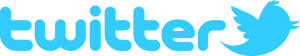 Twitter logo - e-Syndicate Network