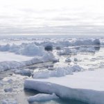 Scientists are suggesting to create artificial ice to stop Antarctic collapse