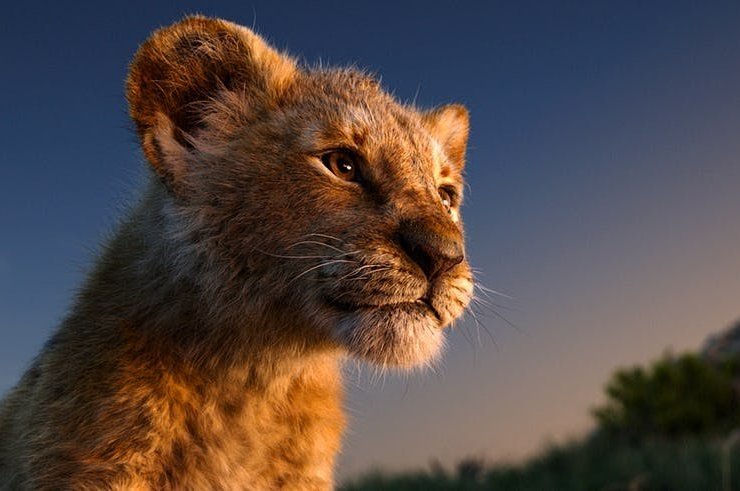 Tech and hurdles behind The Lion King according to director Jon Favreau