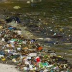 Shaniera Akram brings attention to ‘medical waste’ on Clifton beach in Karachi