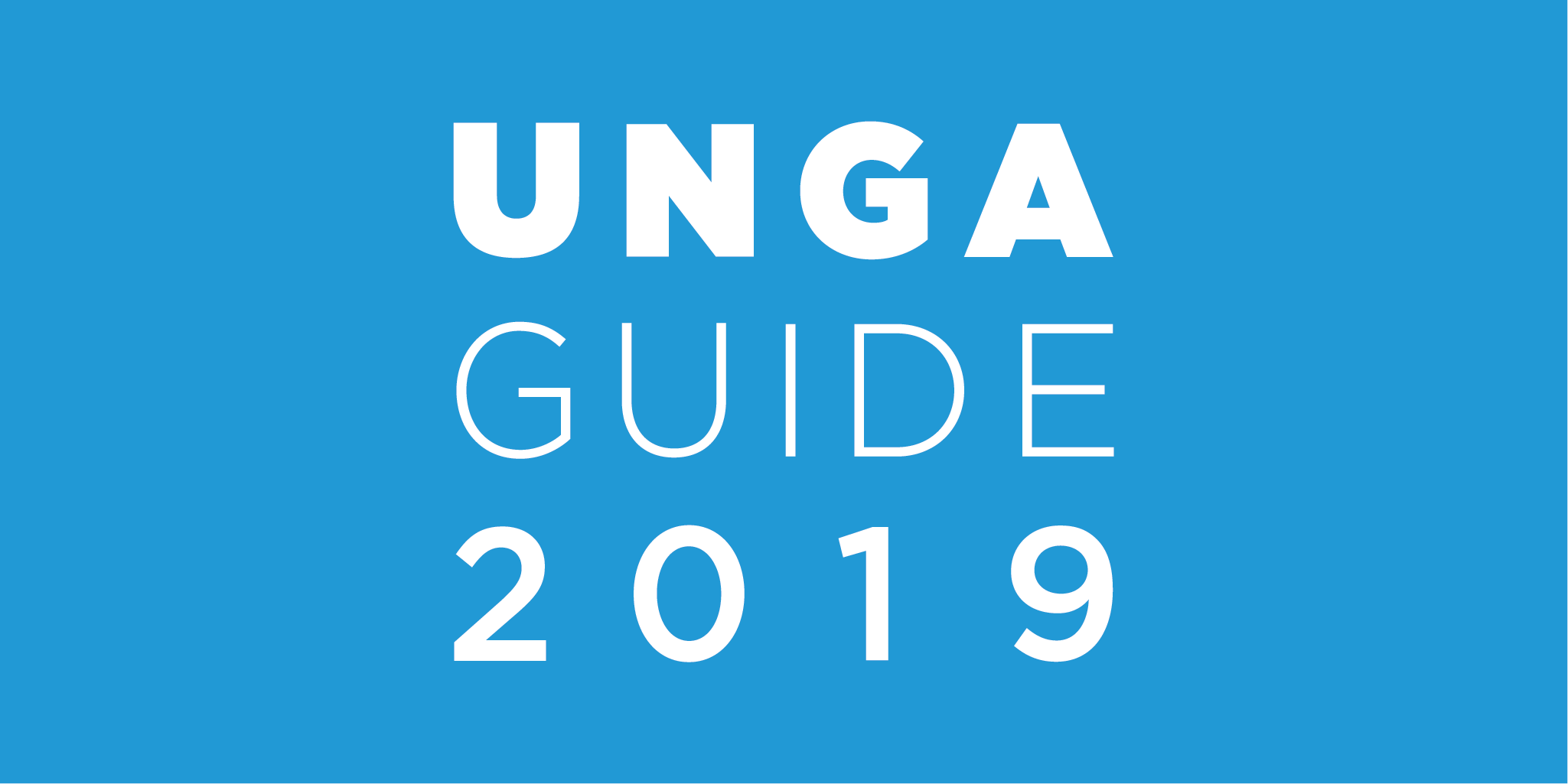 UNGA guide