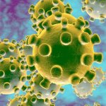 Coronavirus - e-Syndicate Network